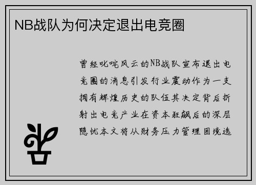 NB战队为何决定退出电竞圈