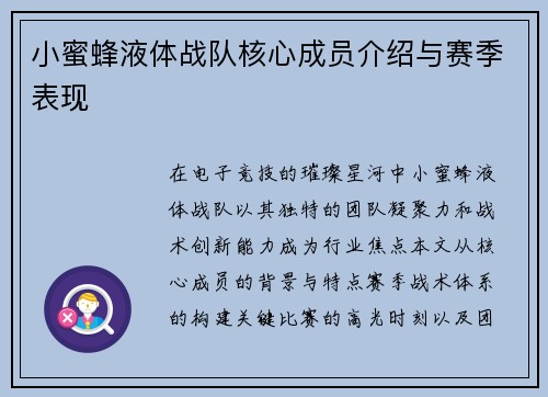 小蜜蜂液体战队核心成员介绍与赛季表现