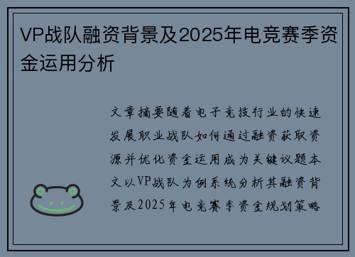 VP战队融资背景及2025年电竞赛季资金运用分析