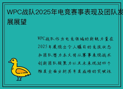 WPC战队2025年电竞赛事表现及团队发展展望