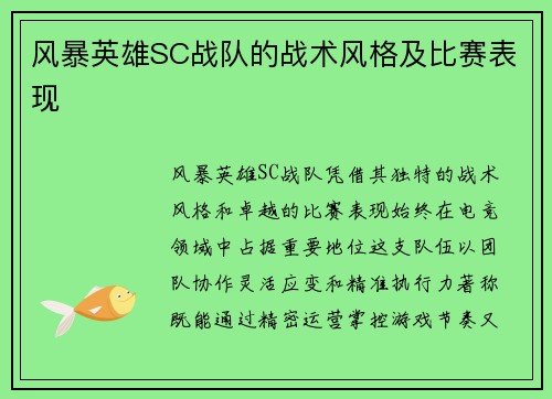 风暴英雄SC战队的战术风格及比赛表现